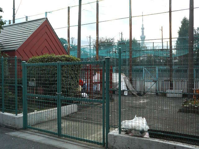 P2600081.jpg
