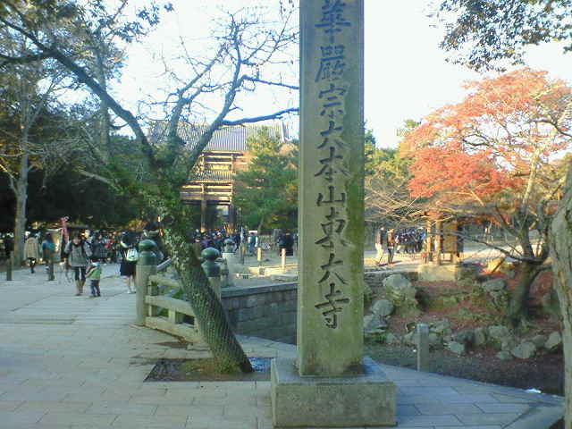 NEC_0088.jpg