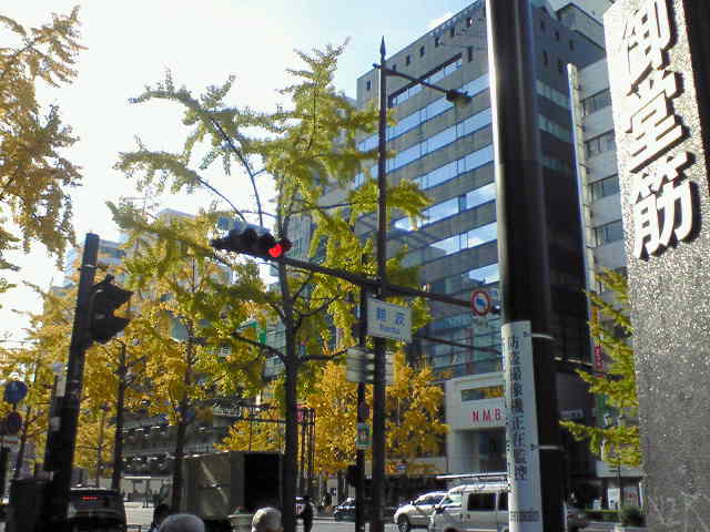 NEC_0041.jpg