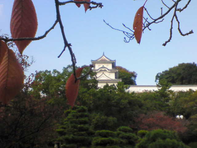 NEC_0064_201308101118411c3.jpg