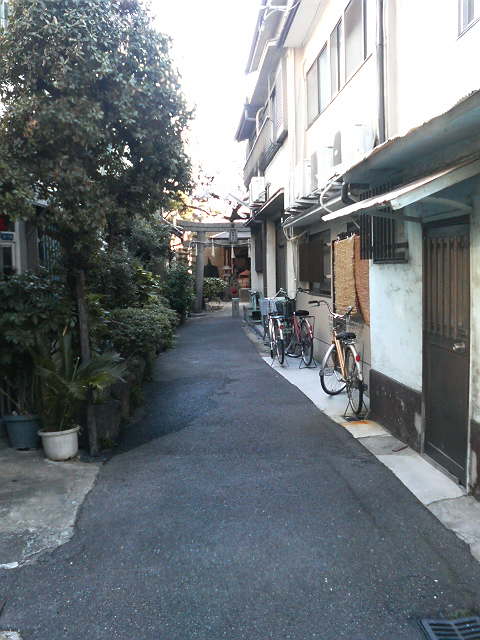 P1060020.jpg