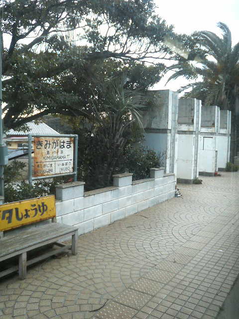 P1930065.jpg