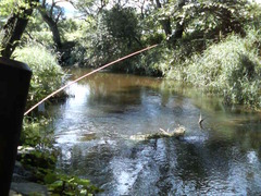 P1280152