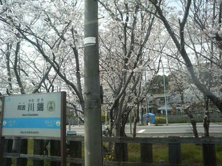 xP2080124