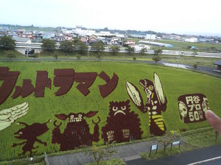 xP2410110