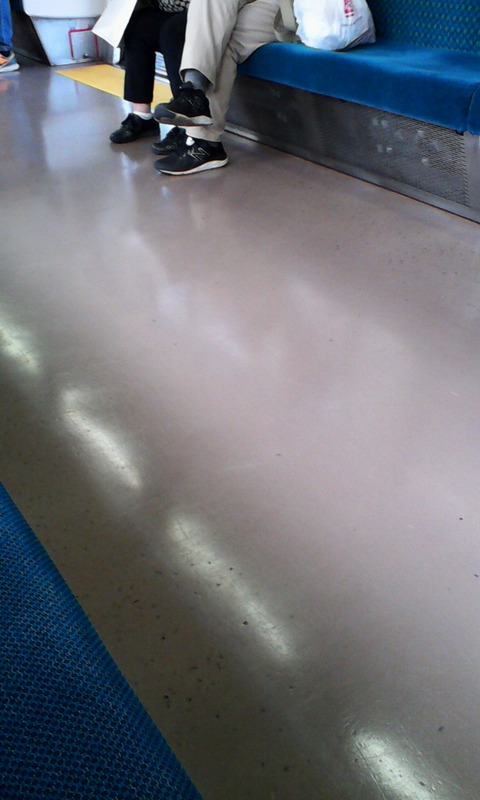 JR_ryomo_line_daytime