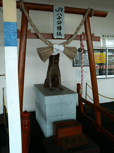 P2410055.jpg