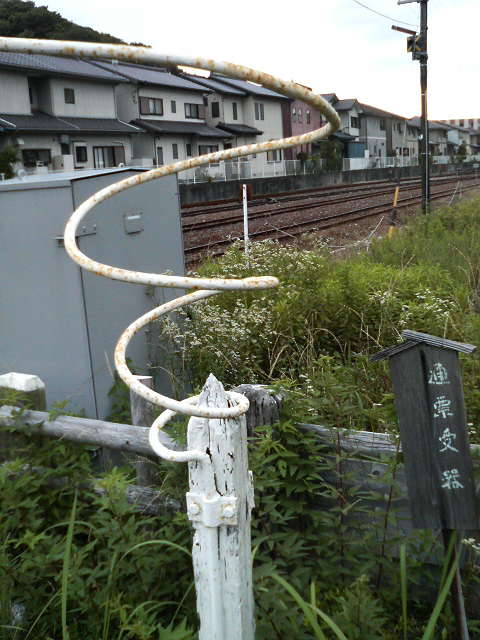 P2320223.jpg
