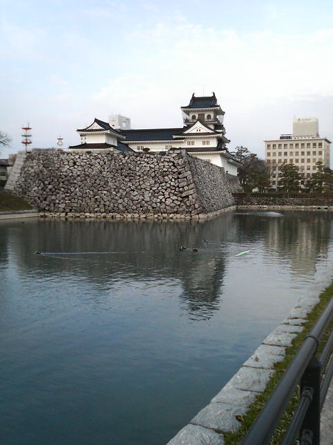 P2030268.jpg