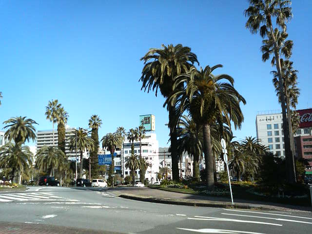 早朝散歩風景で振り返る格安ホテルの思い出 13 宮崎駅 ビジネス宮崎ロイヤルホテル 人生格安旅行日記