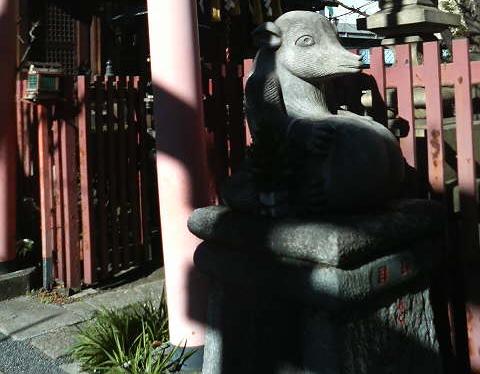 tanuki