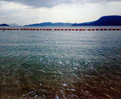 a2f6e2d3.jpg