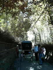 707b58d6.jpg
