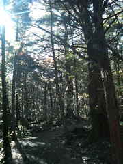 be9b8062.jpg