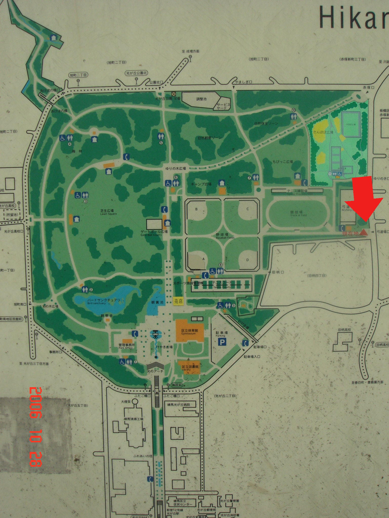 光が丘 公園 野球 場