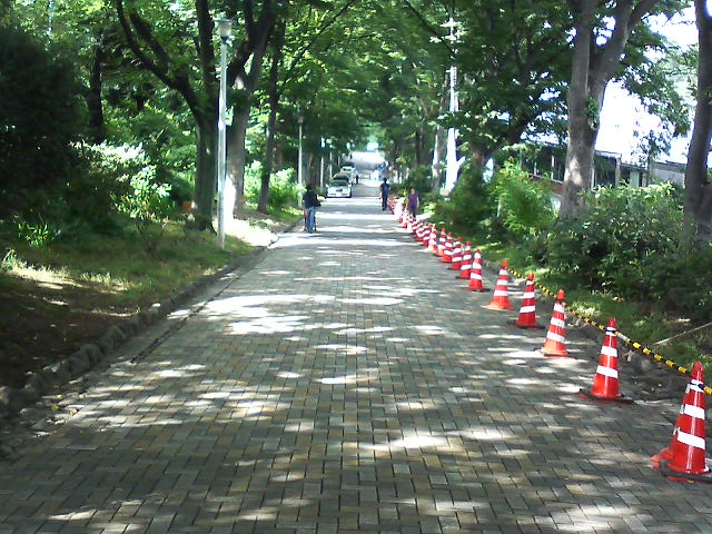 外濠公園総合グラウンド ひま 会いにゆきます 外濠公園総合グラウンド ひま 会いにゆきます