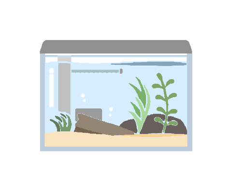 水槽