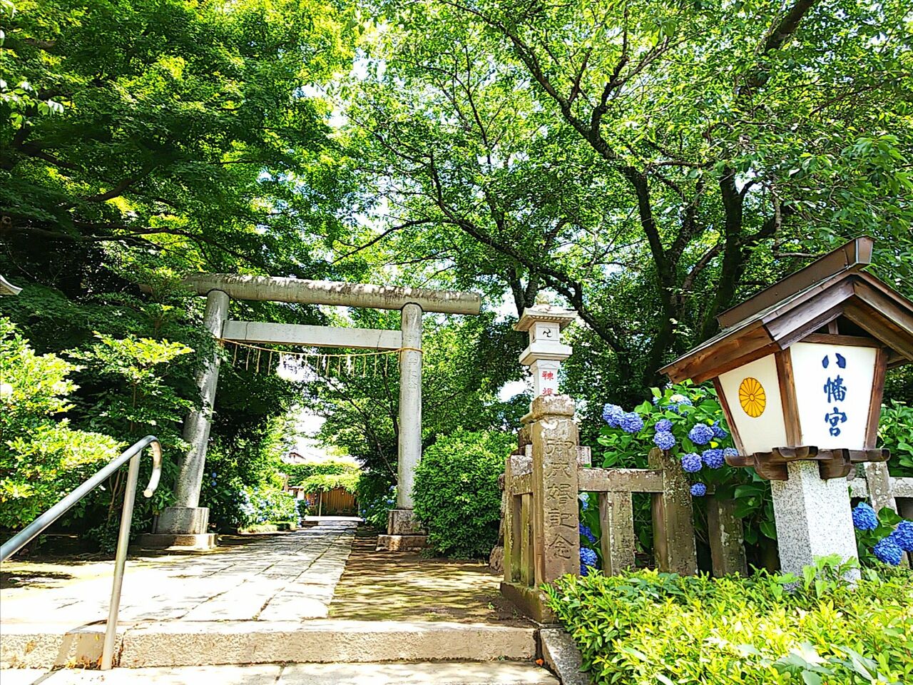 御朱印ボーイズ ソロ活動日記 水戸八幡宮と紫陽花 ビリーのダンディ 倶楽部