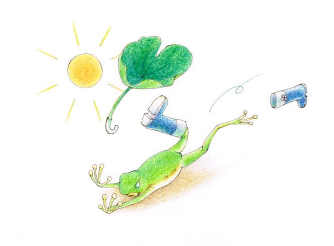 イラスト ひっくりカエル 白いへびは鳥になった イラスト ひっくりカエル 白いへびは鳥になった
