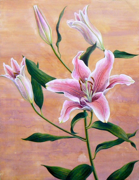 日本画： ユリ : 白いへびは鳥になった