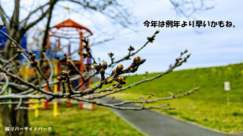 IMG_20200307_1157091
