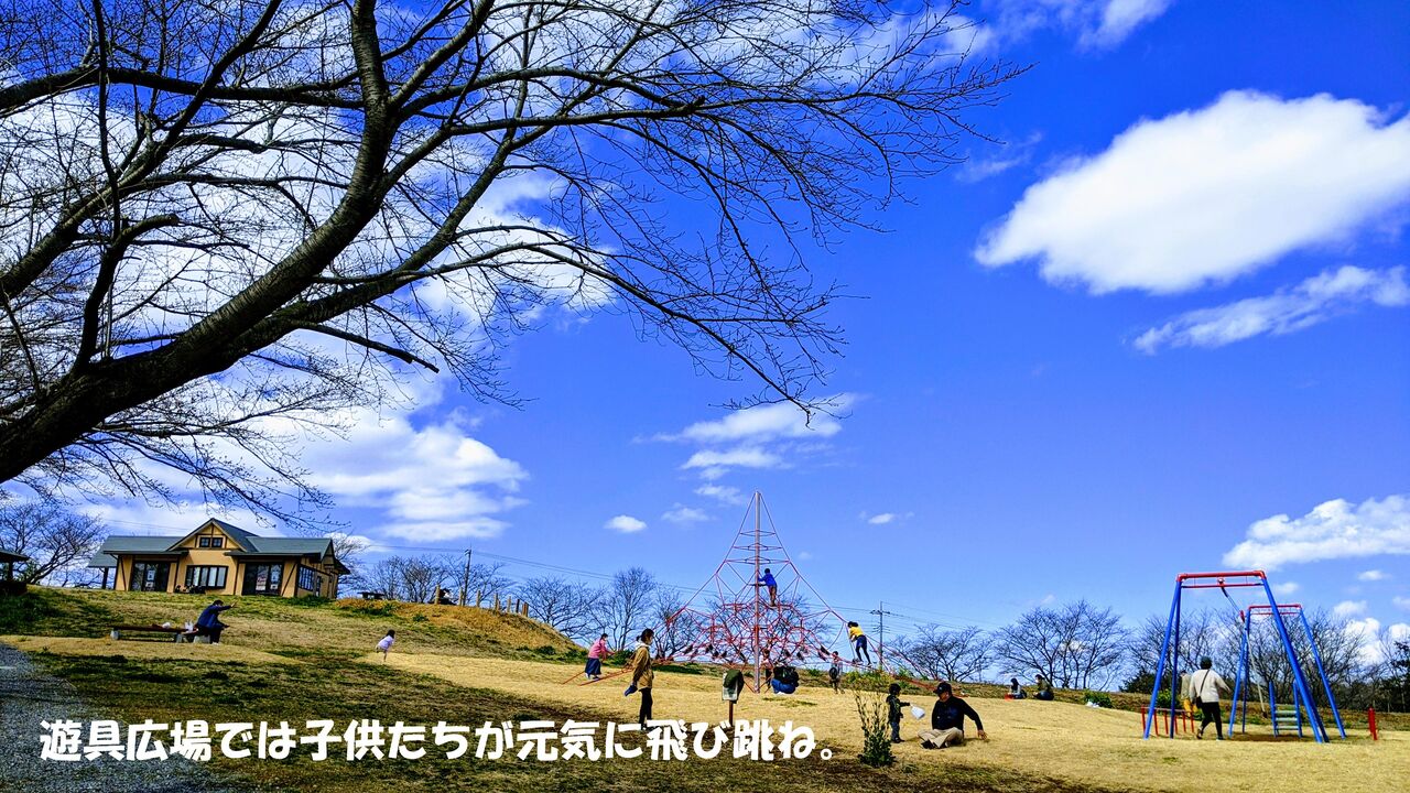 今年リニューアルした東松山市農林公園へ行ってきましてん Life With Z33