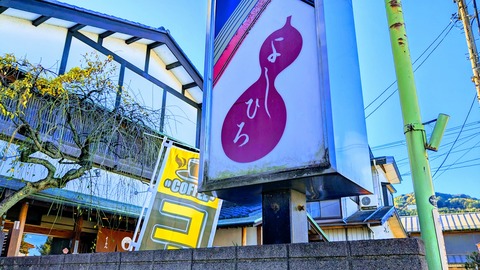 PXL_20231119_043927163