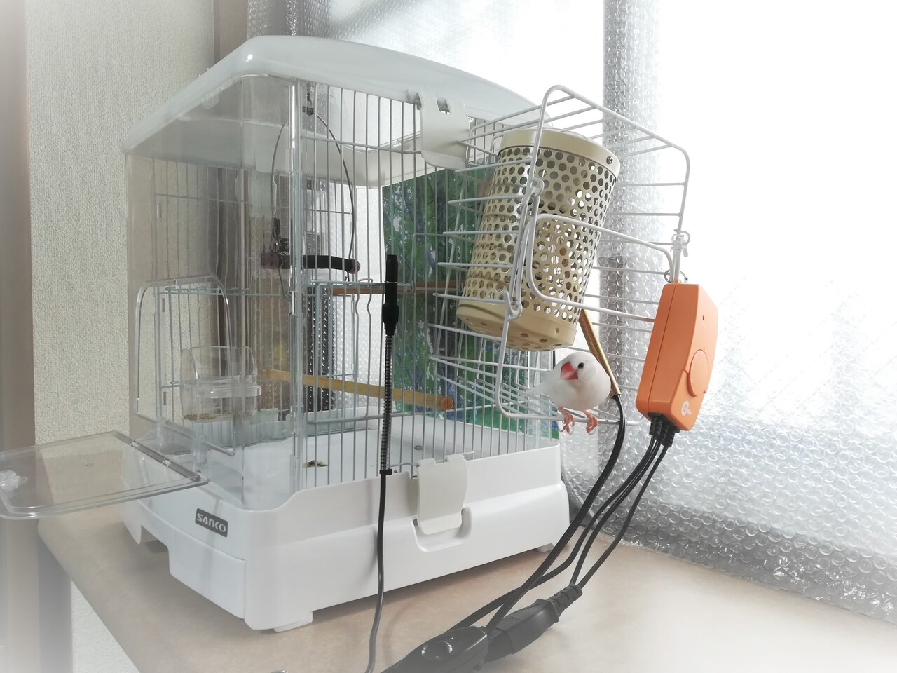 買って良かった文鳥用のヒーター : 白文鳥のぴーちゃんの記録