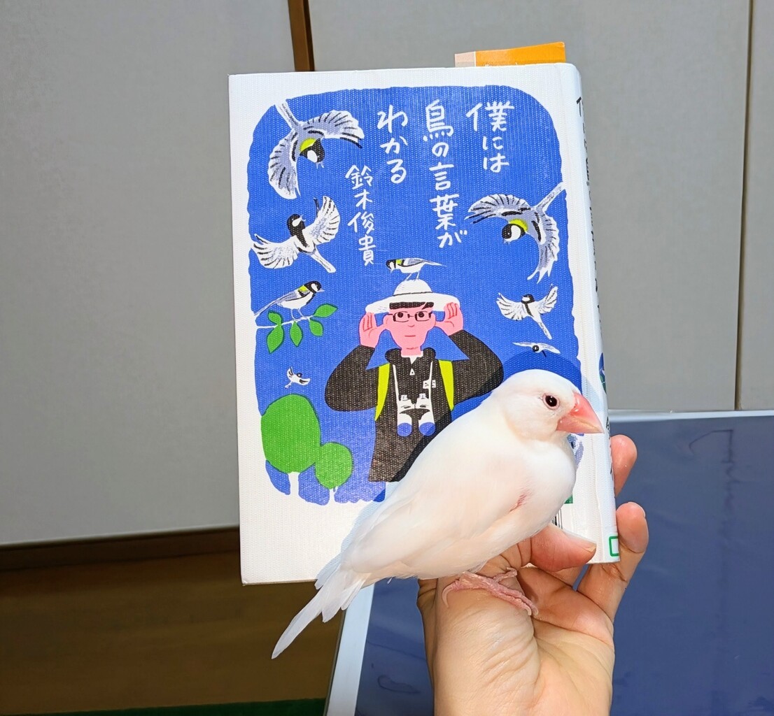 今日の文鳥と面白かった本 : 白文鳥のぴーちゃんの記録