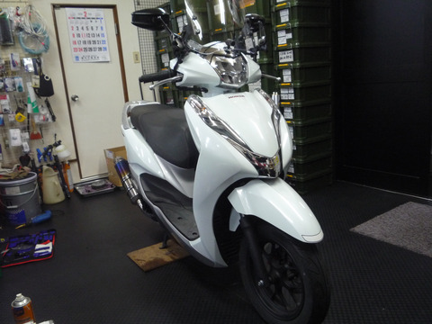 P1070064 のコピー