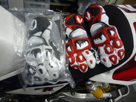 P1040825 のコピー