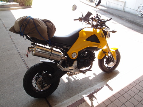 P5050301