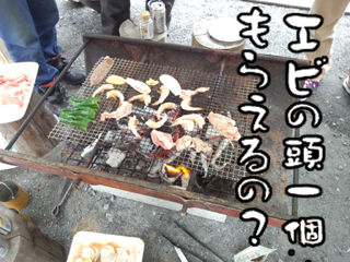 イメージ 16
