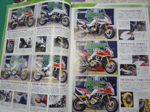 P1040794 のコピー