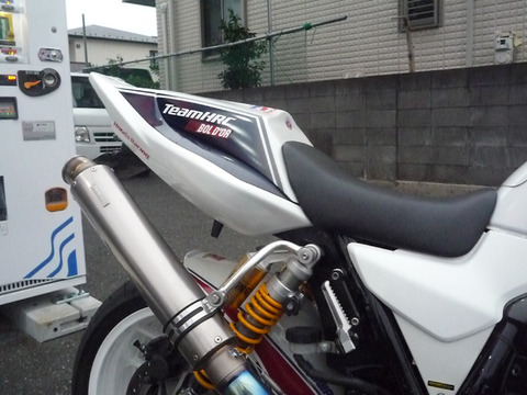 P1060484 のコピー