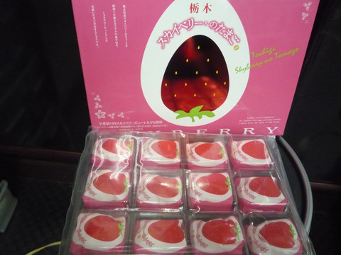 P1070034 のコピー