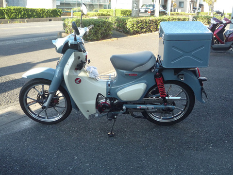 P1060052 のコピー