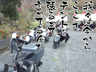 イメージ 10