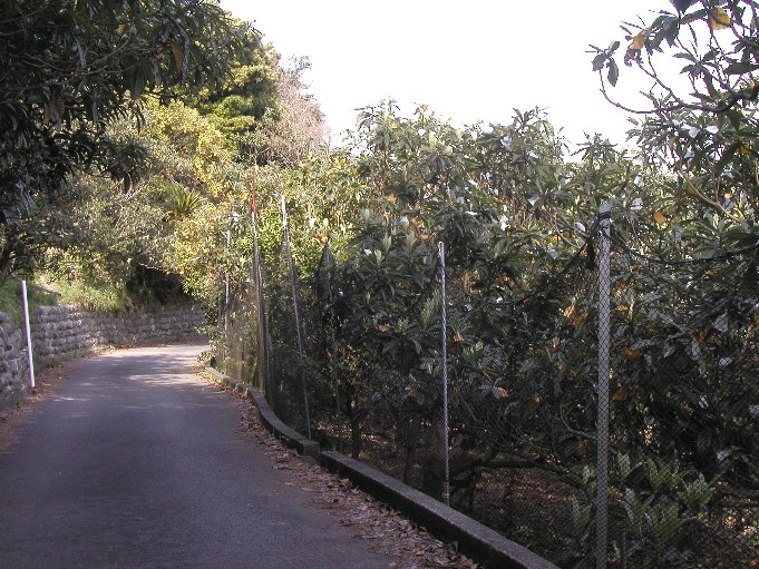 0a778337.jpg