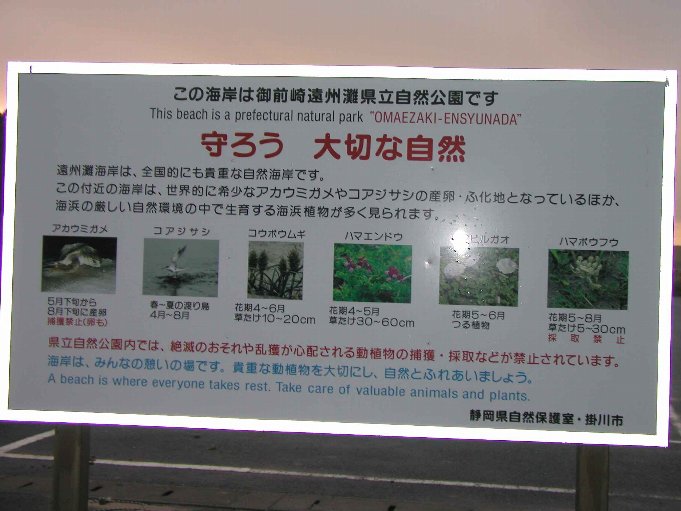 135c13a0.jpg