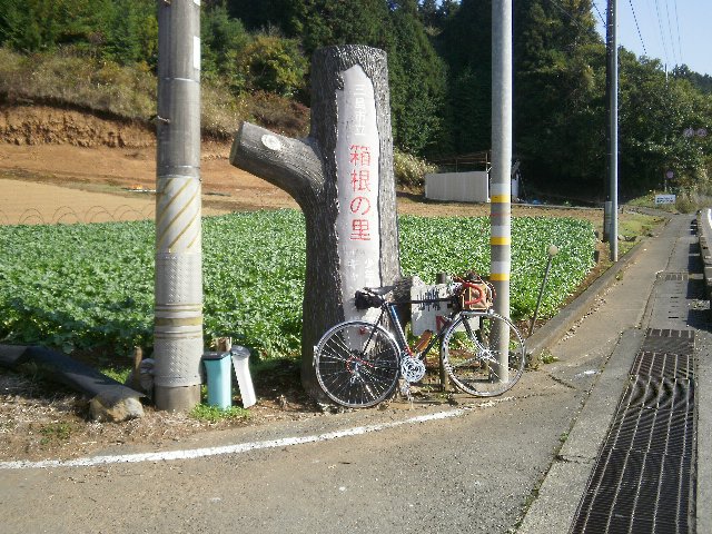 367cbf36.jpg