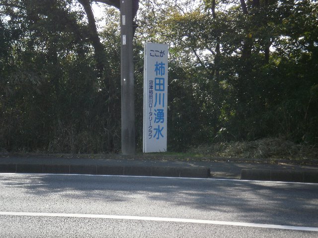 6c33332a.jpg