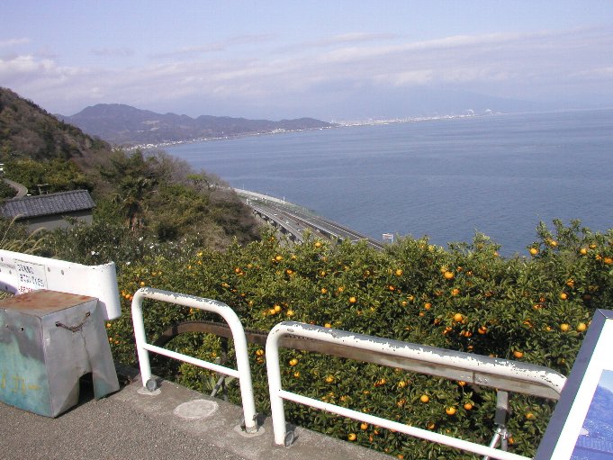6c5919c3.jpg