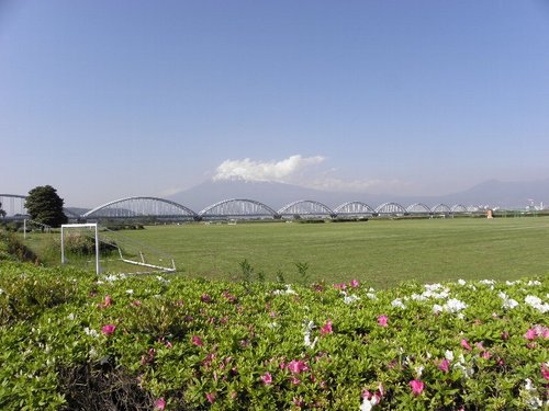 P5010400