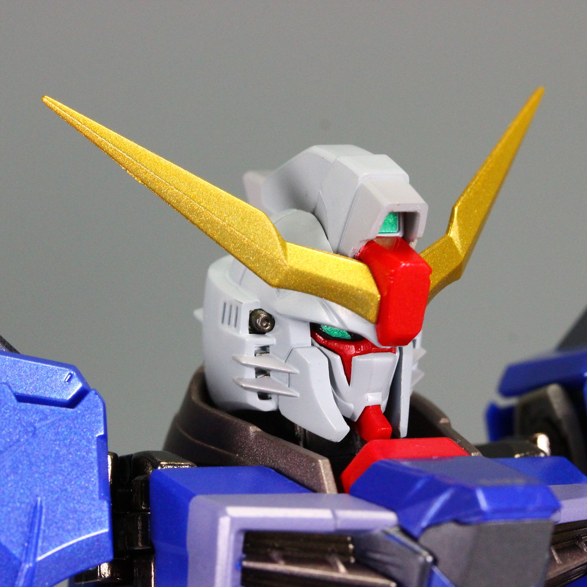 Metal Build デスティニーガンダム 5分で出来る反逆行為マニュアル