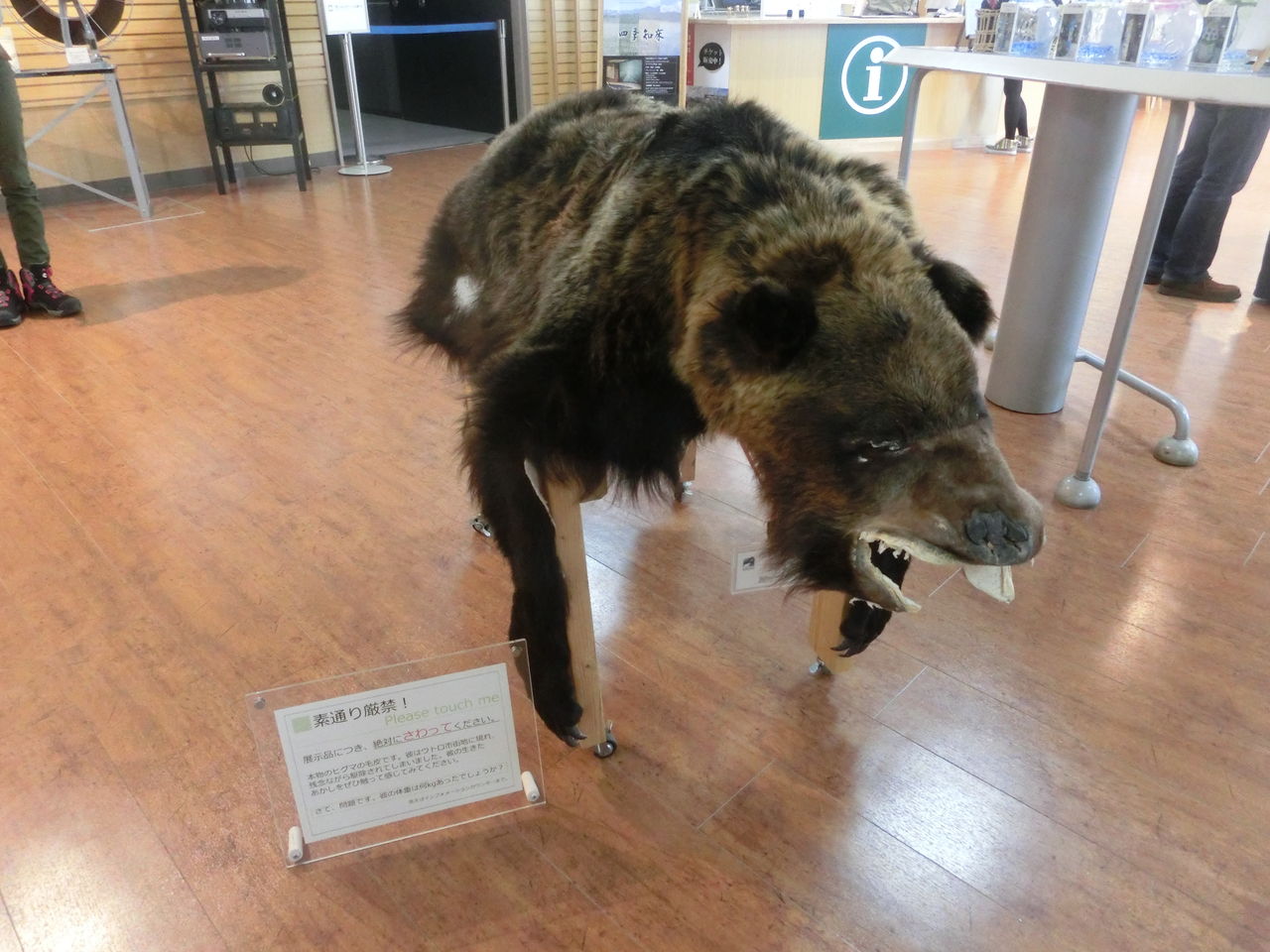 Gw北海道旅行記14 知床自然センターとフレペの滝遊歩道 臆病者の世界見聞録