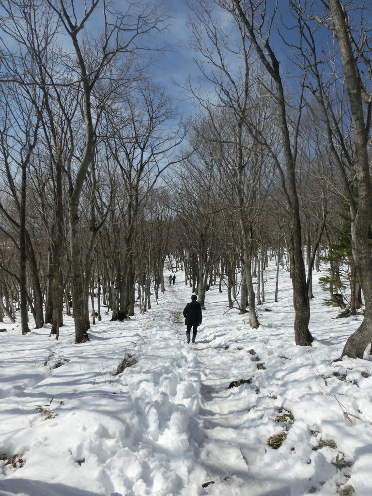 Gw北海道旅行記14 知床自然センターとフレペの滝遊歩道 臆病者の世界見聞録