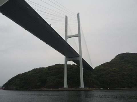 P4210795