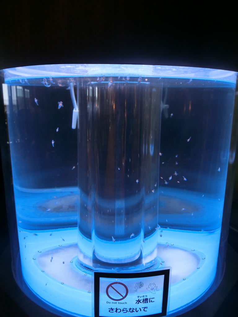 Gw北海道旅行記16 知床グランドホテル北こぶし 臆病者の世界見聞録