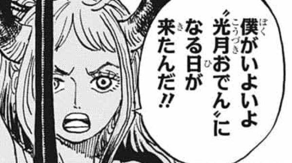 One Pieceのヤマトちゃん 可愛いと話題にwww 採れたてアニメ速報